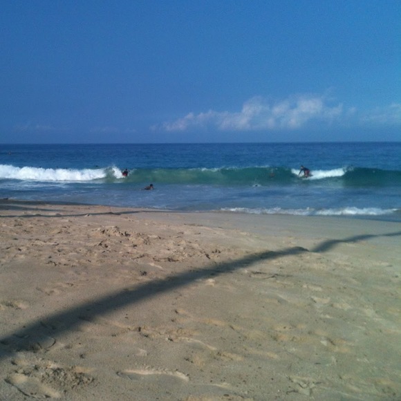 Meet your Posher, Selaima - Picture 1 of 1